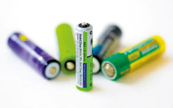 Lizenzierung Bevollmächtigung Batterien EAG