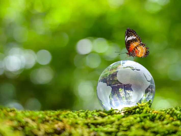 resources saved schlüssel für klimaschutz