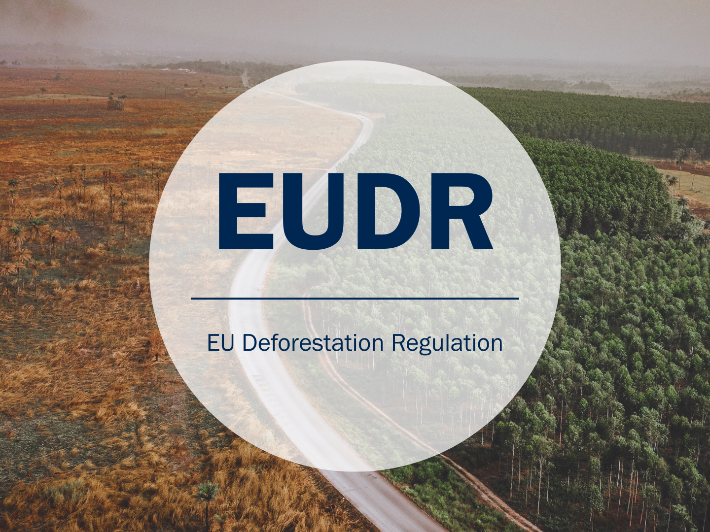 EUDR Entwaldungsverordnung, EU Deforestation Regulation