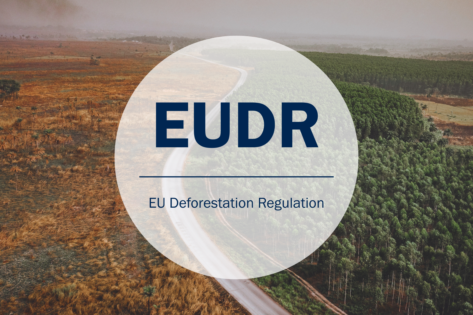 EUDR Entwaldungsverordnung, EU Deforestation Regulation