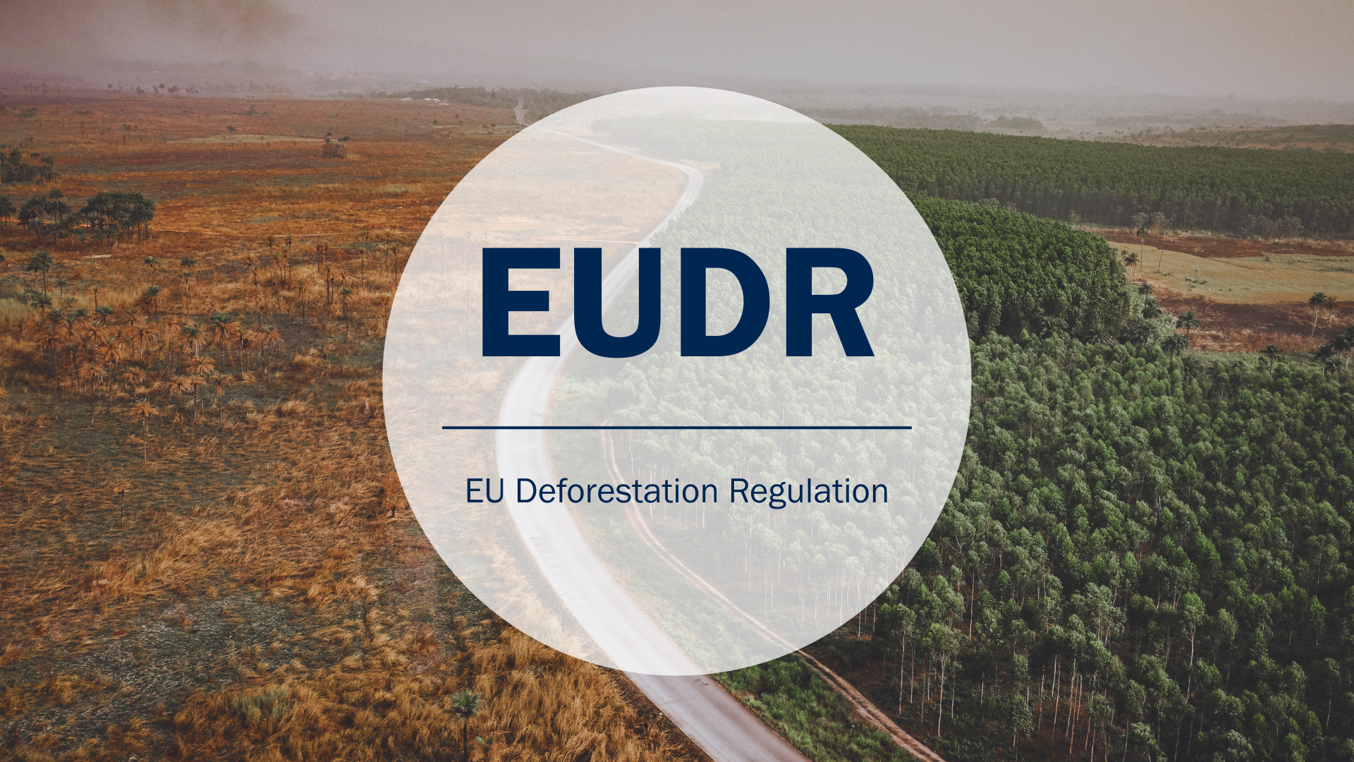 EUDR Entwaldungsverordnung, EU Deforestation Regulation